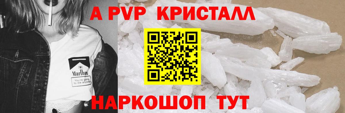 A PVP СК КРИС Сосновоборск