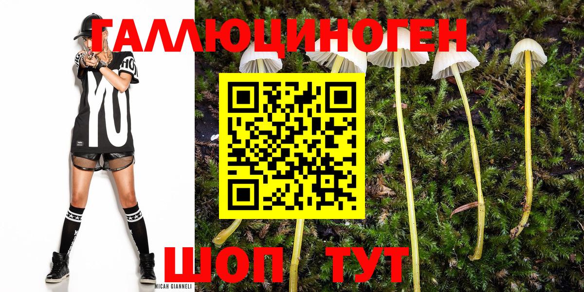 магазин продажи наркотиков  Псилоцибиновые грибы Cubensis  Вход с VPN  Сосновоборск 