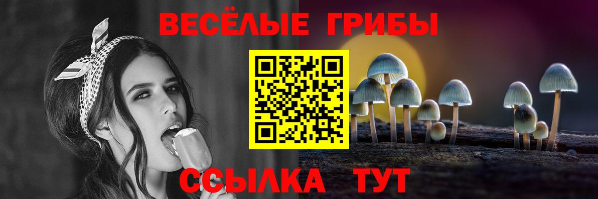 Псилоцибиновые грибы мицелий Сосновоборск